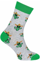 Шкарпетки чоловічі Chili Elegance 163-B7M бавовняні