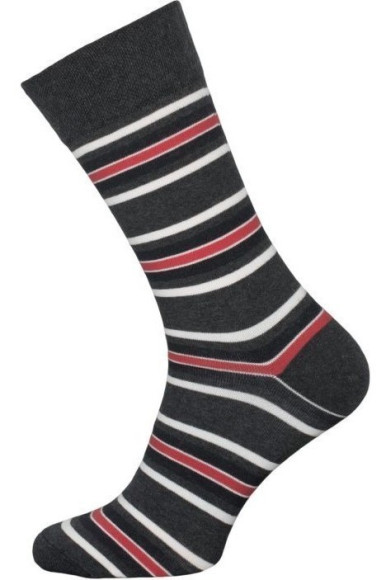 Шкарпетки чоловічі Chili Elegance 163-C1A бавовняні