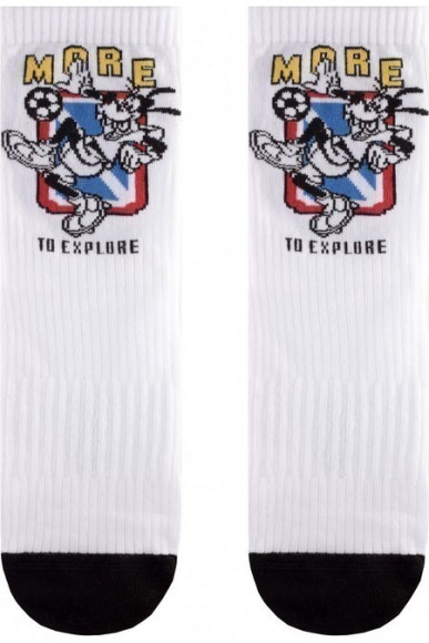 Шкарпетки чоловічі Diwari Disney 17С-168СПМ (369)