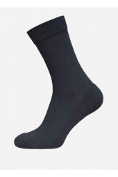 Шкарпетки чоловічі Брестські Arctic 2421 (000) махрова стопа