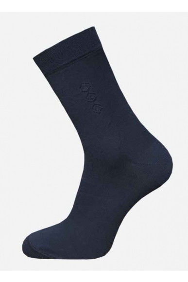 Шкарпетки чоловічі Брестські Basic 2223 (013)