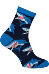 Шкарпетки чоловічі Chili Elegance 163-D7G бавовняні