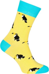 Шкарпетки чоловічі Chili Elegance 163-E6S бавовняні