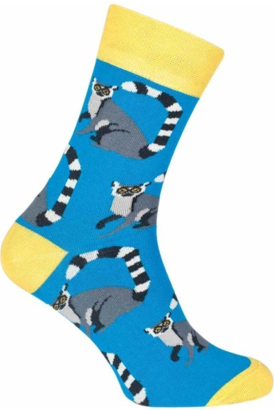 Шкарпетки чоловічі Chili Elegance 163-E6T бавовняні