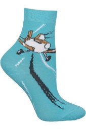 Шкарпетки Chili 748-T1R бавовняні