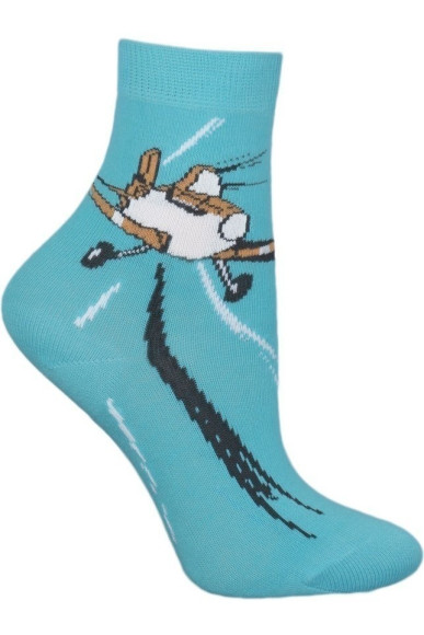 Шкарпетки Chili 748-T1R бавовняні