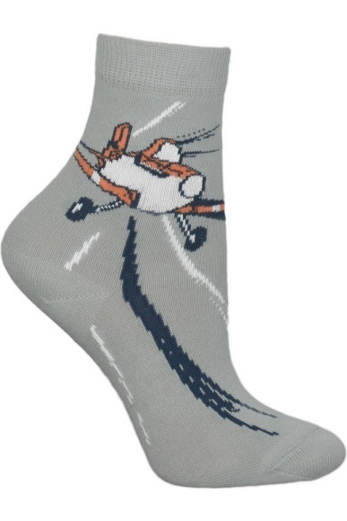 Шкарпетки Chili 748-T1R бавовняні