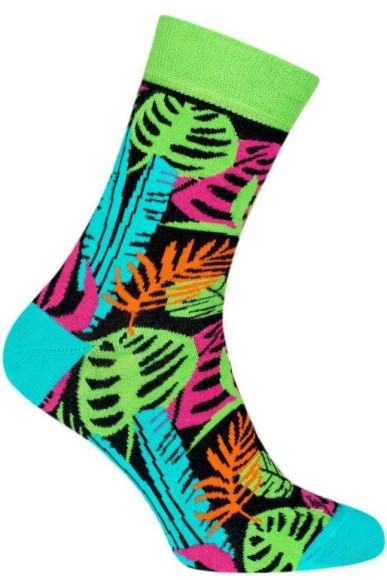 Шкарпетки чоловічі Chili Elegance 163-E6W бавовняні