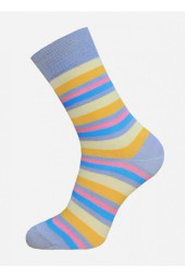 Шкарпетки чоловічі Брестські Classic 2122 (021)