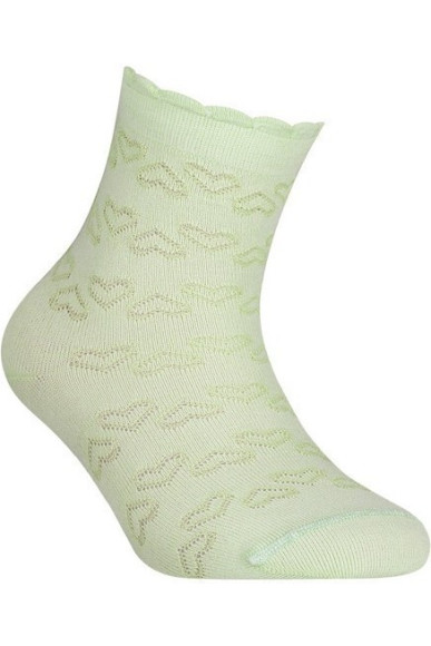 Шкарпетки дитячі Conte-kids Bravo 14С-13СП (184)