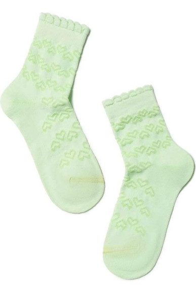 Шкарпетки дитячі Conte-kids Bravo 14С-13СП (184)