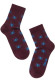 Шкарпетки дитячі Conte-kids Tip-Top 5С-11СП (409) Шкарпетки дитячі Conte-kids Tip-Top 5С-11СП (409)