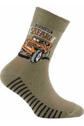 Шкарпетки Chili 748-7F2 бавовняні