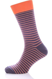 Шкарпетки чоловічі Chili Elegance 163-U1M бавовняні