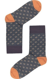 Шкарпетки чоловічі Chili Elegance 163-U1N бавовняні