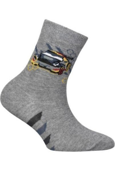 Шкарпетки Chili 748-Z2R бавовняні