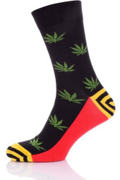 Шкарпетки чоловічі Chili Elegance 163-Z4B бавовняні