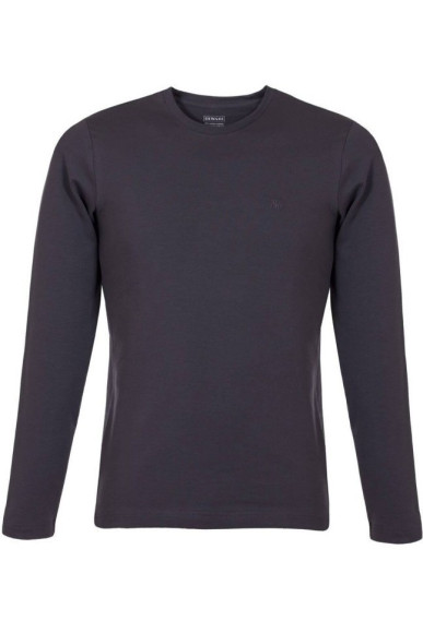 Джемпер чоловічий DiWaRi MD 449