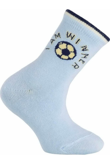 Шкарпетки Chili 748-7R4 бавовняні