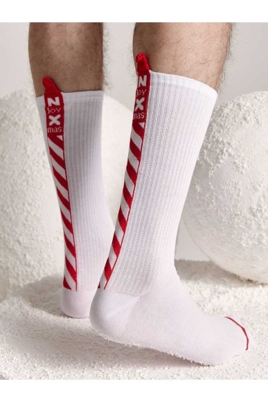 Шкарпетки чоловічі Conte Новорічні (280) 21с-32сп з пікотом-«язичком» «Xmas»