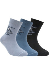 Шкарпетки дитячі Conte-kids Tip-Top (181)