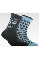 Шкарпетки дитячі Conte-kids Tip-Top (701) 2 пари