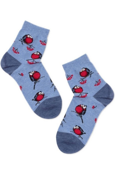 Шкарпетки жіночі Брестські Classic 1137 (425)