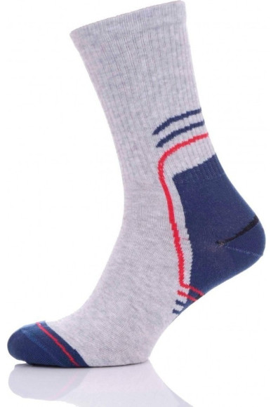Шкарпетки чоловічі Chili Sport Line 990-C2W бавовняні високі