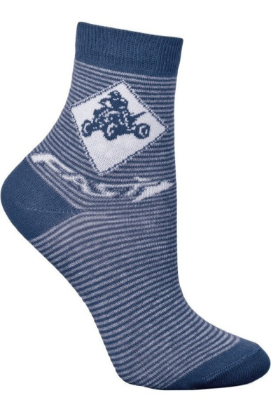 Шкарпетки Chili 748-9F2 бавовняні