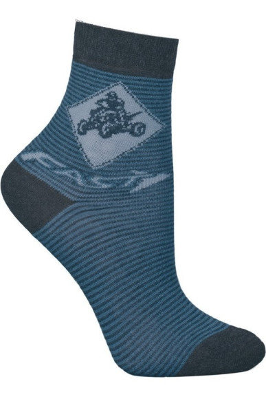 Шкарпетки Chili 748-9F2 бавовняні