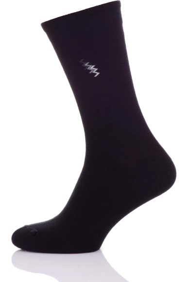 Шкарпетки чоловічі CHILI CLASSIC 794-84P бавовняні