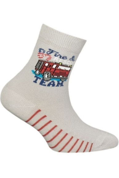 Шкарпетки Chili 748-B6E бавовняні