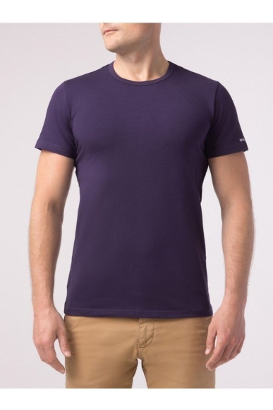 Фуфайка чоловіча Basic DiWaRi MF 309-10