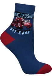 Шкарпетки Chili 748-B6G бавовняні