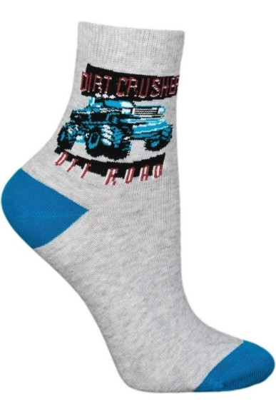 Шкарпетки Chili 748-B6G бавовняні