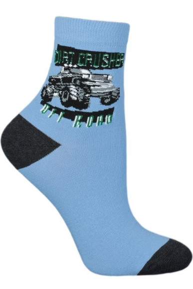 Шкарпетки Chili 748-B6G бавовняні