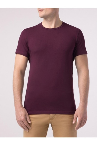 Фуфайка чоловіча Basic DiWaRi MF 744 17С-385ТСП