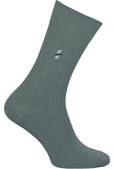 Шкарпетки чоловічі Chili Elegance 102-948 бавовняні класичні