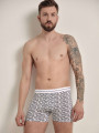 Труси чоловічі Diwari Shape MSH 870 шорти