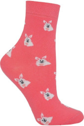 Шкарпетки дитячі Брестські School 3081 (147)