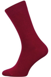 Шкарпетки чоловічі Chili Elegance 163-001 бавовняні