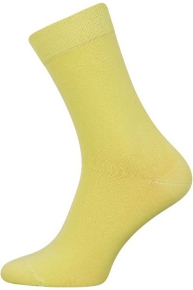 Шкарпетки чоловічі Chili Elegance 163-001 бавовняні