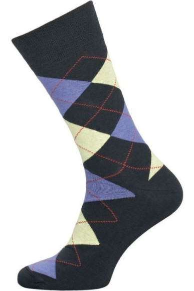 Шкарпетки чоловічі Chili Elegance 163-52N бавовняні