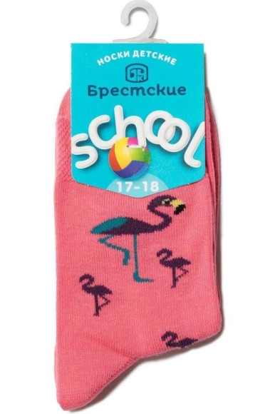 Шкарпетки дитячі Брестські School 3081 (193)