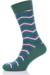 Шкарпетки чоловічі Chili Elegance 163-8U7 бавовняні