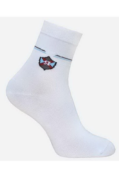 Шкарпетки дитячі Брестські School 3081 (434)