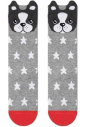 Гольфи дитячі Conte-kids Tip-Top 19С-141СП (042)