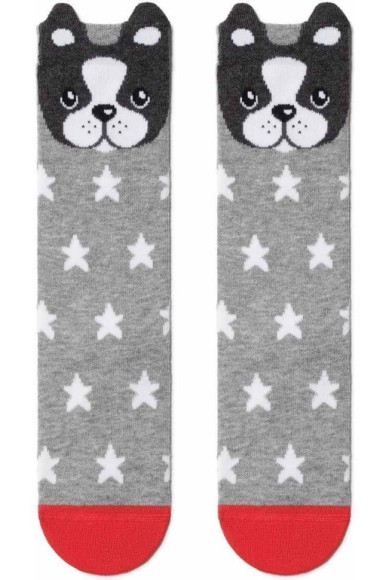 Гольфи дитячі Conte-kids Tip-Top 19С-141СП (042)